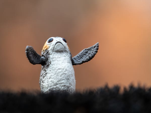 Whoa, this is another post